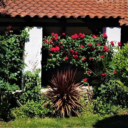 Garden * Motovun