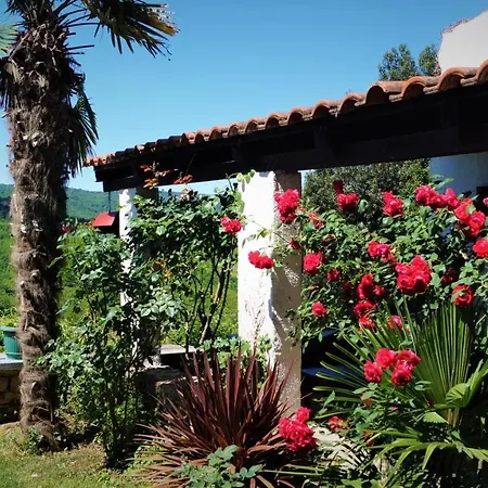 Garden Apartment Motovun